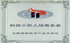 喜訊 卓智入選合肥高新區“科技小巨人”培育企業(yè)