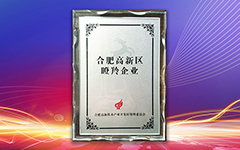 熱烈祝賀卓智榮獲合肥高新區2018年度“瞪羚企業(yè)”榮譽(yù)稱(chēng)號