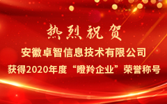 熱烈祝賀安徽卓智信息技術(shù)有限公司獲得2020年度“瞪羚企業(yè)”榮譽(yù)稱(chēng)號