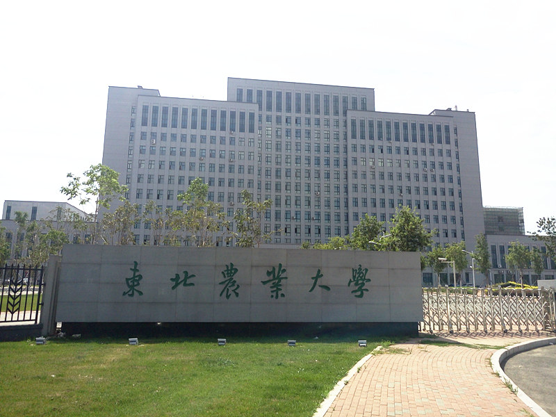 東北農業(yè)大學(xué)_副本_副本.jpg